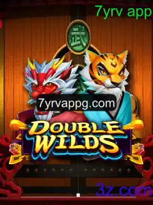 Explorando o Fascinante Mundo de DoubleWilds: Regras e Introdução ao Jogo